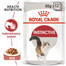 ROYAL CANIN Instinctive 48x85 g kastmes märgtoit kastmes valivatele täiskasvanud kassidele