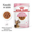 ROYAL CANIN Kitten Sterilised märja toidu kastmes kuni 12 kuu vanustele kassipoegadele, steriliseeritud 48 x 85 g