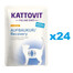 KATTOVIT Feline Diet RECOVERY  taastumisele kanaliha 24 x 85 g