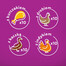 WHISKAS Potrawka Adult 40x85g Poultry Flavours - märja kassitoit želees (kana, pardi-, linnu- ja kalkunitoiduga)