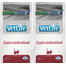 FARMINA Vet life Gastrointestinal Cat kuivtoit kõhuprobleemidega kassidele 2 x 2 kg