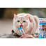 INABA Churu Cat cream tuunikala maiuspala 56 g