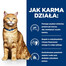 HILL'S Prescription Diet Feline C/D Multicare Urinary hooldus lõhega 12x85g kotikeses