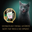SHEBA Nature's Collection 85 г соус с лососем и горошком