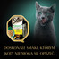 SHEBA Nature's Collection 85 g kana ja paprikaga kastmes