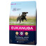 EUKANUBA Junior Large Breed 3kg