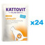 KATTOVIT Feline Diet Urinary kanalihaga  24 x 85 g struviitkivide kordumise vähendamiseks