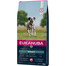 Eukanuba  Täiskasvanudele lõhega ja riisiga , kõik tõud 12 kg