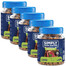 SIMPLY FROM NATURE Smart Bites Lambaliha treenerid koertele 5x130 g