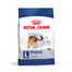 ROYAL CANIN Maxi Adult 15 kg kuivtoit täiskasvanud koertele, kuni 5-aastastele, suurtele tõugudele