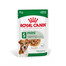 ROYAL CANIN Mini ageing 12+ 12x85 g märgtoit kastmes küpsetele üle 12-aastastele koertele, väikestele tõugudele