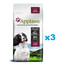 APPLAWS Adult Dog Small Medium Chicken with Lamb 6 kg (3x2 kg) Kana lambalihaga täiskasvanud väikestele ja keskmise tõugu koertele.