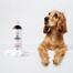 PETS šampoon Vitamiinšampoon lühikestele juustele 250 ml
