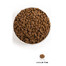 Acana Adult Small Breed 6 kg Täiskasvanud väikestele tõugudele