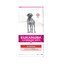 Eukanuba soolehaigused Täiskasvanudele kanalihaga. kõikidestele tõugudest 12 kg