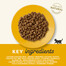 APPLAWS Cat Kitten Chicken 2 kg teraviljavaba kanatoit kassipoegadele