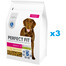PERFECT FIT Adult 1+ kuivtoit suurt tõugu täiskasvanud koertele, rikkalik kanaliha, 3 x 2,6 kg
