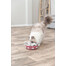 TRIXIE Cat Activity Hide'n'Sniff Bowl õppemänguasja kassidele 18 cm plastikust
