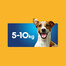 PEDIGREE DentaStix Daily Fresh kanamaitselised maiuspalad väikestele koertele 4x110g