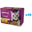 WHISKAS Adult kotike 48x85g Poultry Fricasse märja kassitoit marmelaadiga: kana, kalkun, linnuliha, part