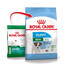 ROYAL CANIN Mini Puppy / Junior kuivtoit kutsikatele, 2 kuni 10 kuud, väikestele tõugudele 2 x 800 g