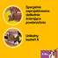 Pedigree Dentastix väikest tõugu koertele 110 g x 4