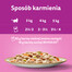 WHISKAS Tasty Mix Kremowe Wariacje z kurczakiem, jagnięciną i indykiem w sosie 12x85g