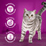 WHISKAS Tasty Mix Kremowe Wariacje z kurczakiem, jagnięciną i indykiem w sosie 12x85g