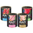 DOLINA NOTECI Rafi Premium Mix smaków 12x800g