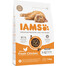 IAMS for Vitality Kitten Chicken 1,5 kg kana kassipoegadele