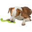 Wąż na smakołyki Snack-Snake, TPR, 42 cm
