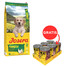 JOSERA YoungStar 12,5kg bezzbożowa karma dla szczeniąt + JOSERA Meat Lovers Pure Multipack 6x400g mokra karma dla psów GRATIS