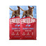 CARNILOVE Active Dog Salmon and Turkey Adult 2x12 kg łosoś i indyk, dla dorosłych psów