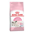 ROYAL CANIN Babycat 34 10 kg
