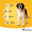 Pedigree Vital Protecion toit veiselihaga suurtele täiskasvanud koertele 15 kg