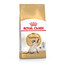 Royal Canin Siamese Adult 2 kg   toit on välja töötatud spetsiaalselt siiami kassidele.