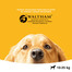 Pedigree Dentaflex vidutinių veislių šunims X 9