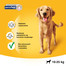 Pedigree Dentaflex vidutinių veislių šunims X 9