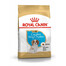Royal Canin Cavalier King Charles Junior 1,5 kg