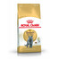 Royal Canin British Shorthair Adult 0,4 kg