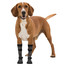 TRIXIE Apsauginės kojinės Walker Socks, XS-S, 2 vnt,