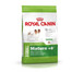 ROYAL CANIN X-Small Adult 8+ 0,5 kg kuivtoit üle 8-aastastele koertele, väga väikestele tõugudele