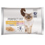PERFECT FIT Sensitive 1+ Konservai šlapias kačių maistas vištiena ir lašiša 4*85 g