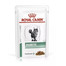 ROYAL CANIN Cat Diabetic 12 x 100 g