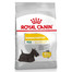 ROYAL CANIN Mini Dermacomfort 1 kg