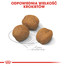 ROYAL CANIN Giant Puppy 3,5 kg kuivtoit kutsikatele vanuses 2-8 kuud, suurtele tõugudele