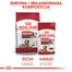 ROYAL CANIN Medium Ageing 10+ 10x140 g