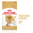 ROYAL CANIN Adult 50 g toit üle 8-aastastele Yorkshire terjeritele