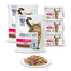 PERFECT FIT (Adult 1+) 2 x 750g maistas turtingas lašišu - sausas maistas suaugusioms katėms + konservai 12x85g - šlapias maistas katėms padaže (su vištiena ir žirneliais, su jautiena ir morkomis)
