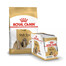 ROYAL CANIN Shih Tzu Adult sausas maistas suaugusiems ših tzu šunims 1,5 kg + 12 x 85 g drėgno maisto paketėlių, gabaliukai padaže